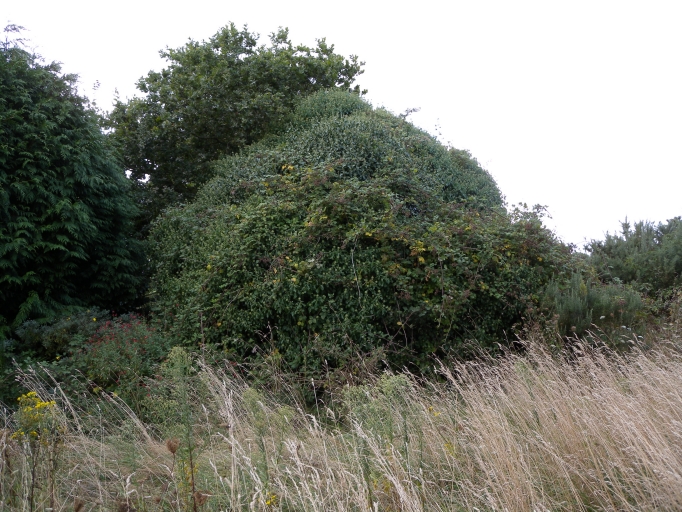 Corps de garde de Keranio (Lanmodez)