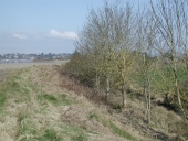 La digue de la Roche et les ouvrages liés au circuit des eaux (Lancieux)
