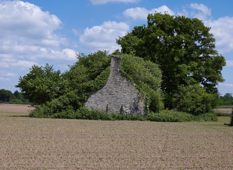 Maison, les Bourdonnaise, au nord de la Guihaie (Saint-Martin-sur-Oust)