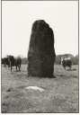 Menhir, Kergollot (Le Cloître Saint-Thégonnec)