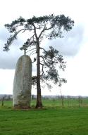 Menhir dit "La Pierre Longue de Saint-Jouan" et croix de chemin, la Butte (Cuguen)