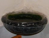 Bénitier d'applique 2