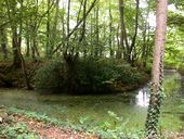 Motte dite motte féodale des Guerches (Matignon)