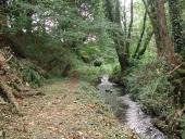 Les moulins à eau du Lizildry (Plouguiel)