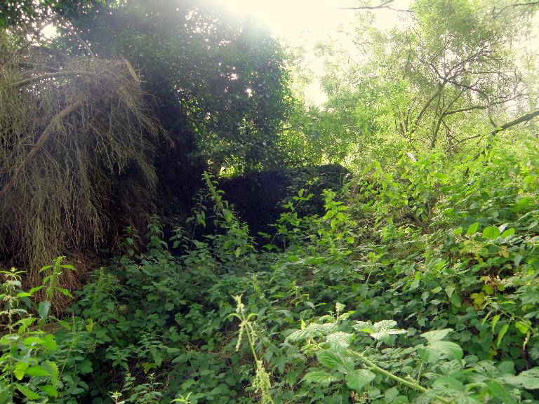 Ardoisière de Pont Tohou (Plévin)