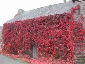 Ferme 6, les Landriaux (Sainte-Marie)