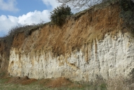 Le calcaire des Faluns (Projet de Parc naturel régional Rance-Côte d'Emeraude)