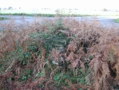 Croix de chemin, près de la Lemonaie (Guipry fusionnée en Guipry-Messac en 2016)