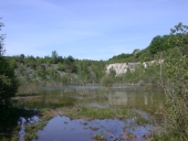Carrière, près de la Gué (Saint-Thurial)