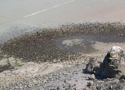 Réservoir : pêcherie, Tournemine , le Poissonet (Pordic)