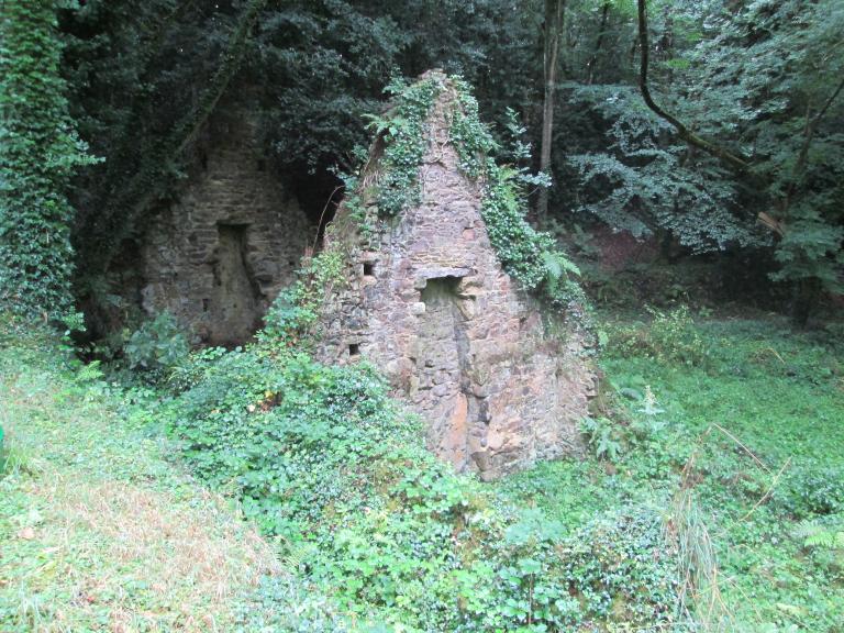 Manoir, Luzuron (Camlez)