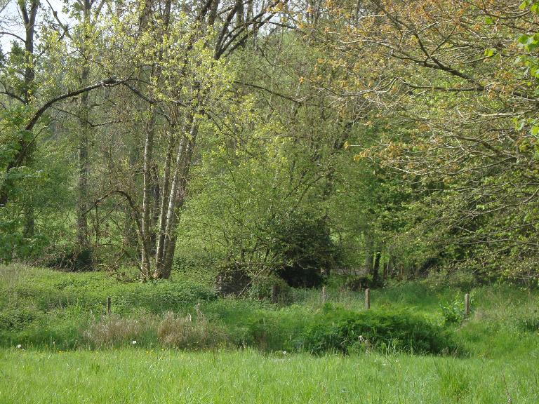 Moulin à papier de Bélliard (Vieux-Vy-sur-couesnon)