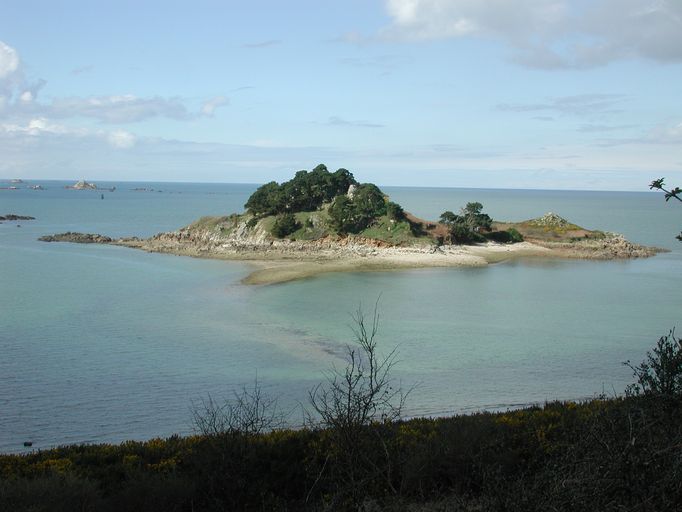 Ensemble fortifié (Mo 60), Ile Stérec (Plouézoch)