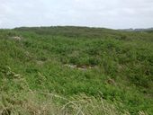 Casemate pour 75 mm Pak 40 n° 1 (Type ?), Enez Terc'h dite île aux Américains (Plouguerneau)
