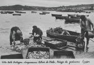 Bateaux de pêche et techniques de pêche