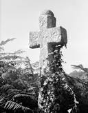Croix de chemin, Bodeu (Limerzel)
