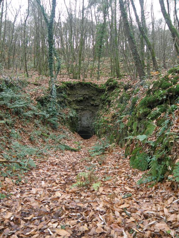 Ardoisières du Pont de l'église (Pluherlin)