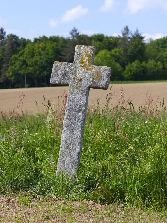Croix de chemin, la Repousais (Saint-Martin-sur-Oust)