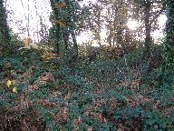 Ardoisière de Moulin Donnant (Saint-Hernin)