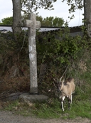 Croix de chemin de Luzundrun (Loguivy-Plougras)