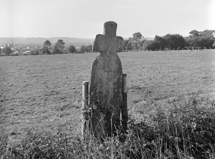 Croix de chemin, la Croix Barbot (Sainte-Anne-sur-Vilaine)