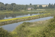Marais salants de la Goutte ou des Guettes (Saint-Suliac)