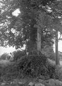 Croix de chemin, sortie sud-est du village (Lizio)