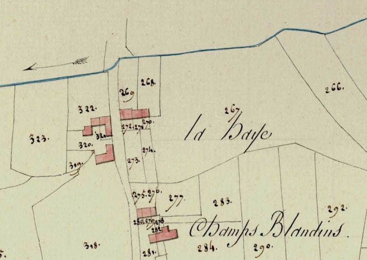 Ecart, la Haye de Cicé (Bruz)