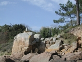 Front de mer : Goaréva (île de Bréhat)