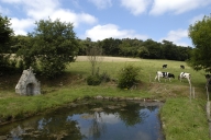 Fontaine de dévotion du Manéguen, au nord de Keroperh (Guénin)