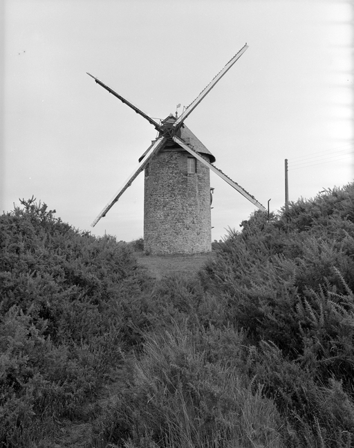 Moulin, Belle Née (Sainte-Anne-sur-Vilaine)