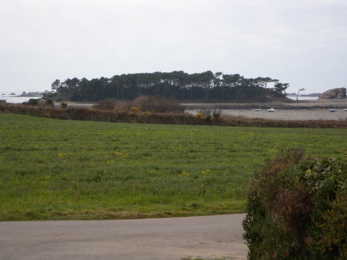 Écart : Ile aux Pins (Plougrescant)