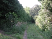 Les sentiers de la commune de Plouguiel