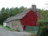 Alignement de maisons, la Guillaumerie (La Chapelle-de-Brain)