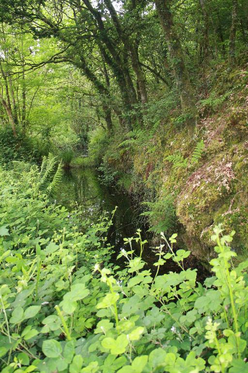 Moulin à papier, Penanfers (Ploudiry)
