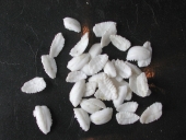 Jeu de société : esprits de morue