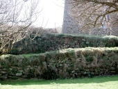 Murets de l'Île Milliau (Trébeurden)