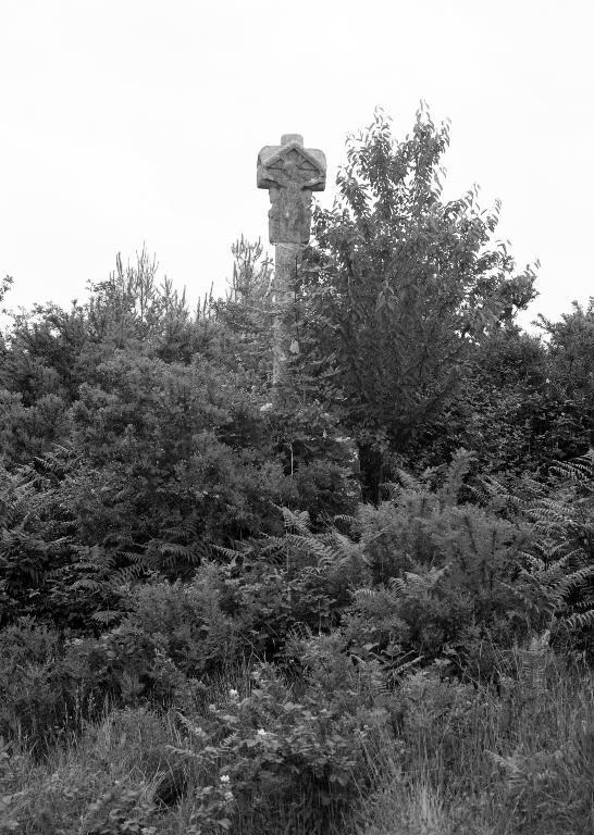 Croix de chemin dite de Gourmelan, le Monty  (Carentoir)