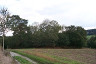 Motte féodale (?), près de Chevré ; route départementale 528 (La Bouëxière)