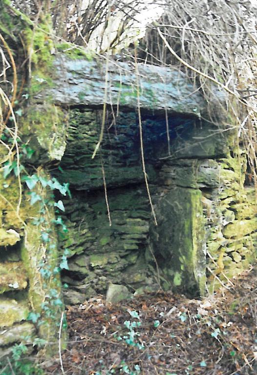 Kanndi de Kerverzon Vian (Irvillac)