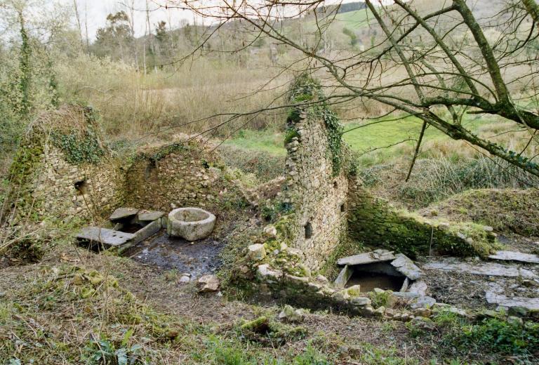 Kanndi de Tromelin (Tréflévénez)