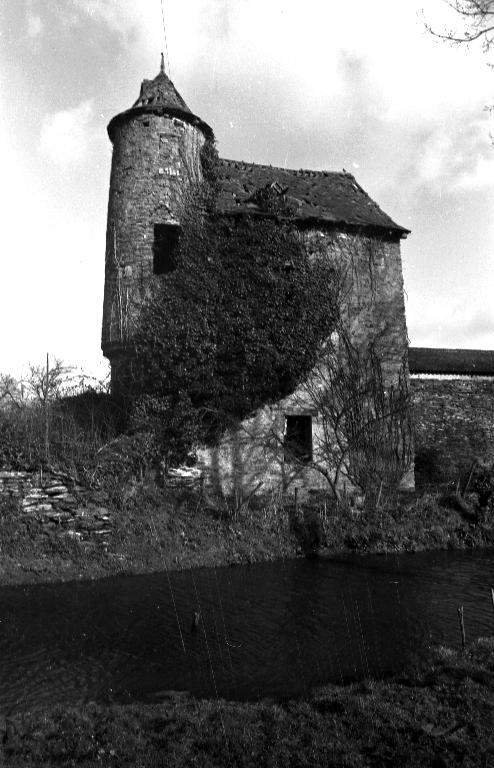 Manoir, La Douettée (Laillée)