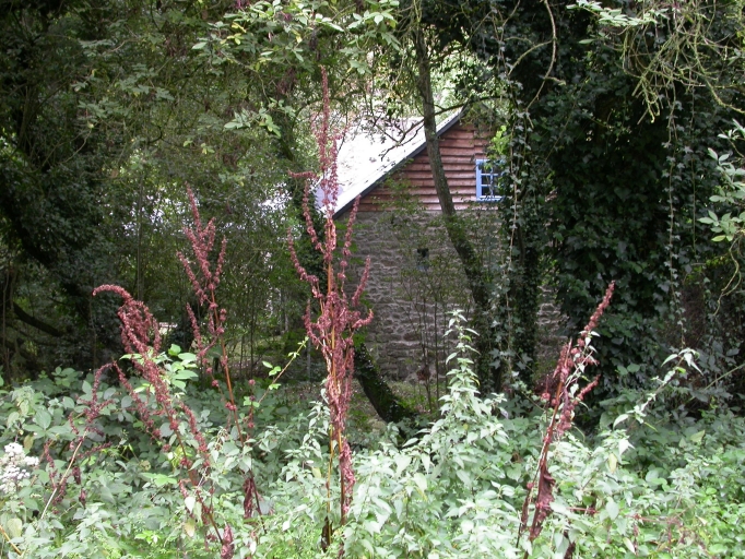 Moulin à farine dit le Moulin Rault, actuellement maison (Saint-Trimoël)