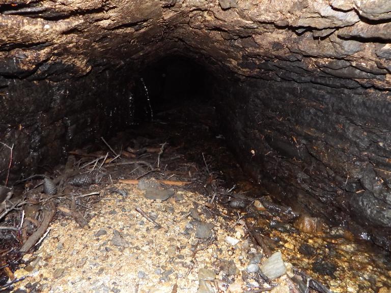 Moulin à marée de Trogriffon (Henvic)