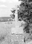 Croix de chemin, près de Lesvran (Loyat)
