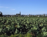 Village de Saint-Méloir-des-Ondes