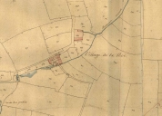 Écart, la Noé (Trimer)