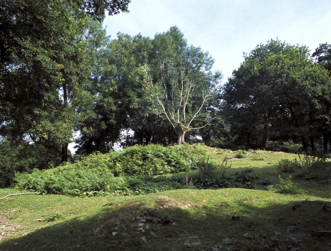 Motte castrale, le Quinquis (Clohars-Carnoët)