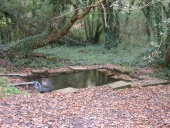Lavoir, près de Kernegan (Baud)