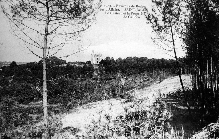 Château de Calléon ou de Calloën (Saint-Jacut-les-Pins)